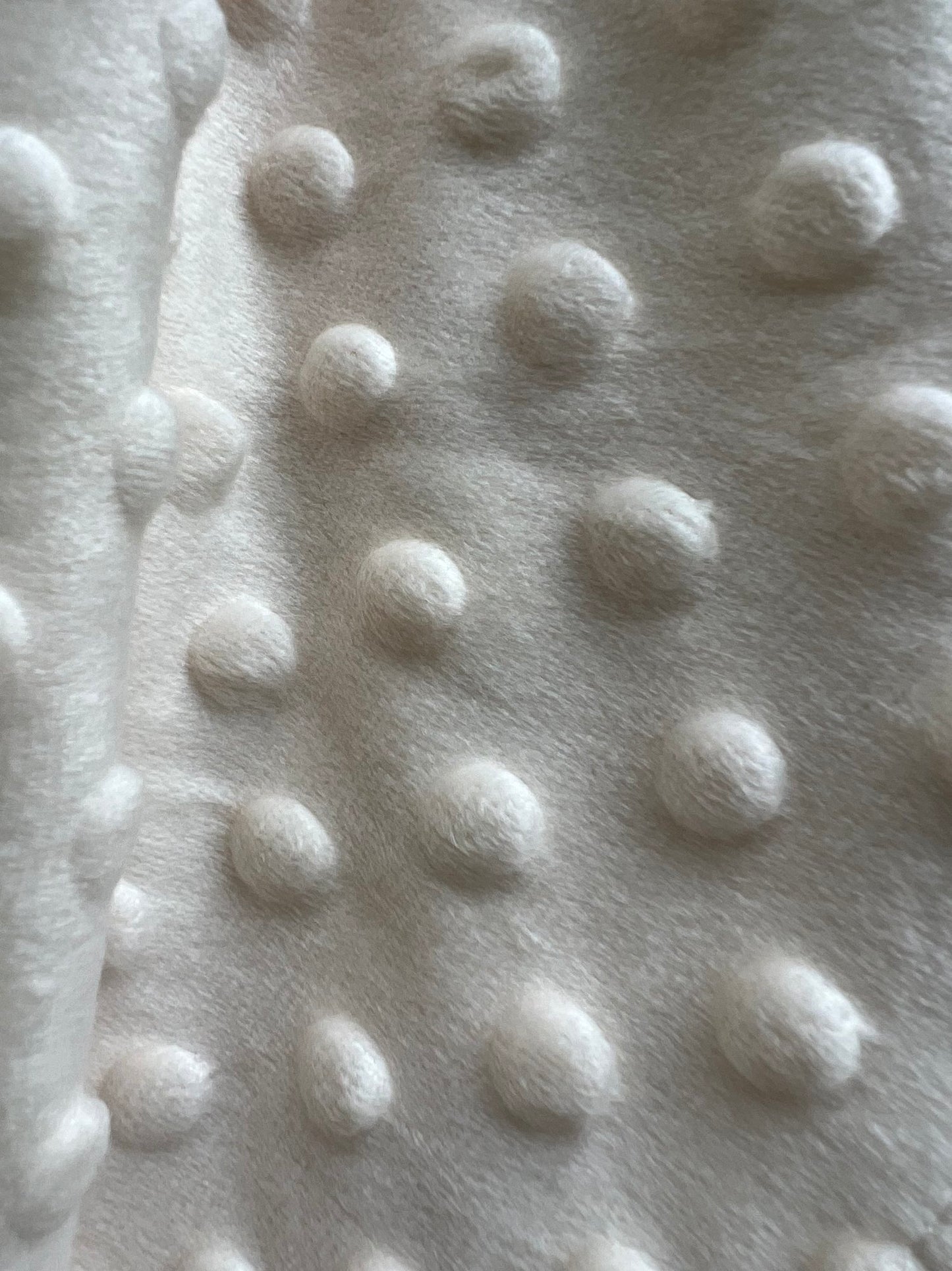Briggham Blanket: Floral Cream Mink