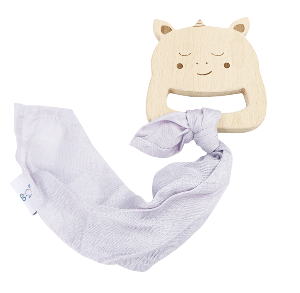 Meg the Fairy Princess Gift Set