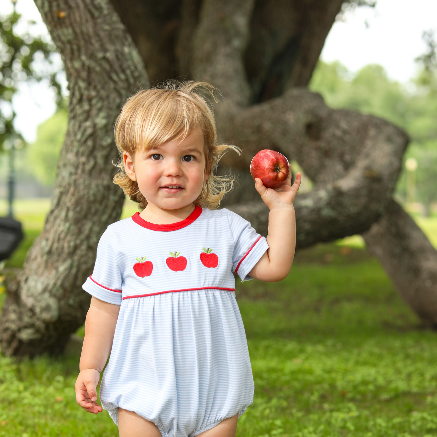 Apple Embroidery Bubble