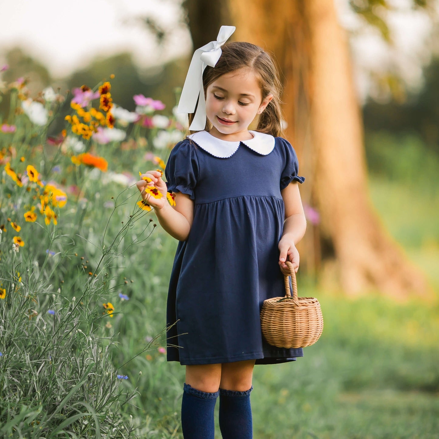 Charlotte Dress (L.Blue, Navy, L.Pink)