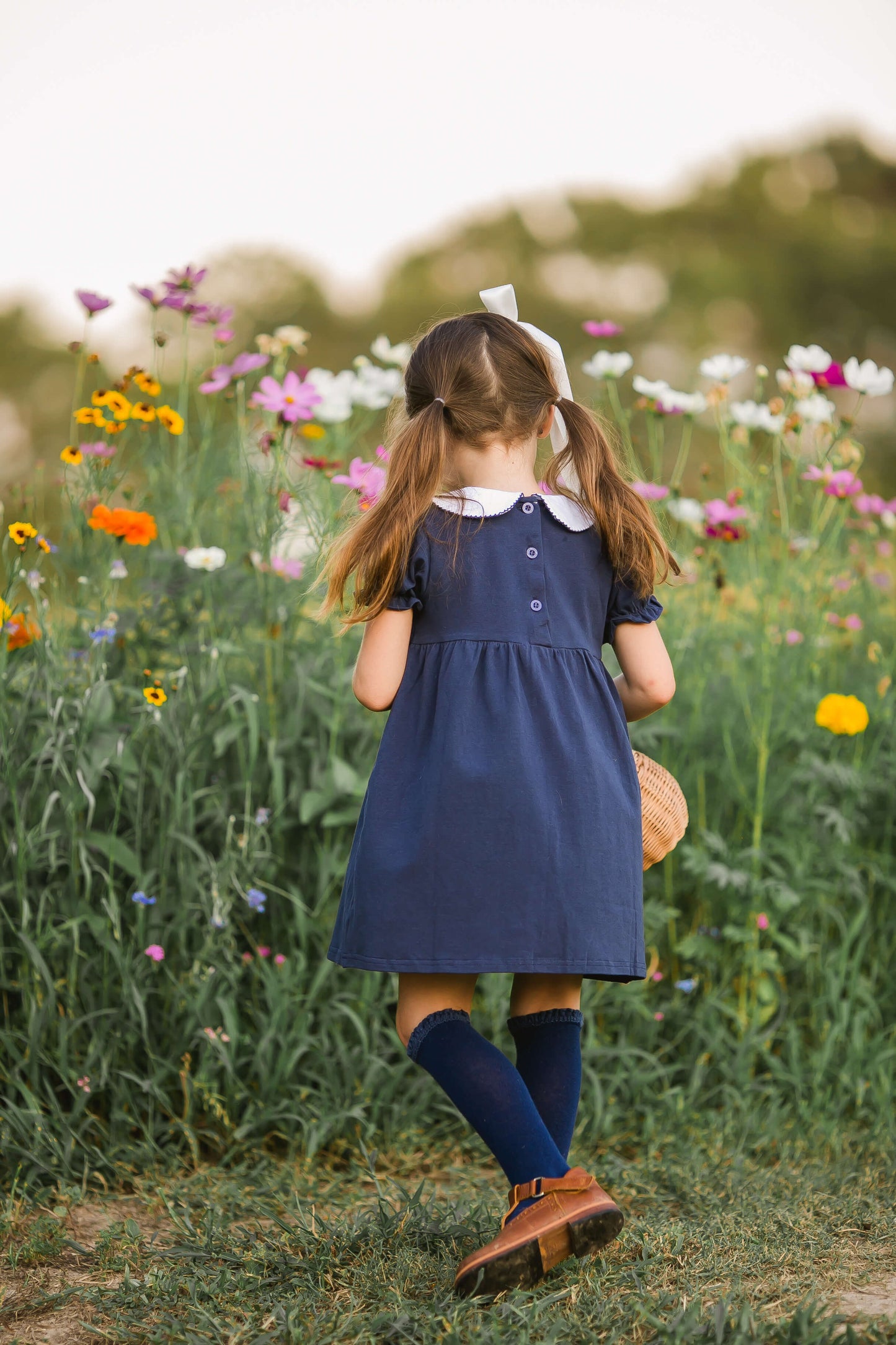 Charlotte Dress (L.Blue, Navy, L.Pink)