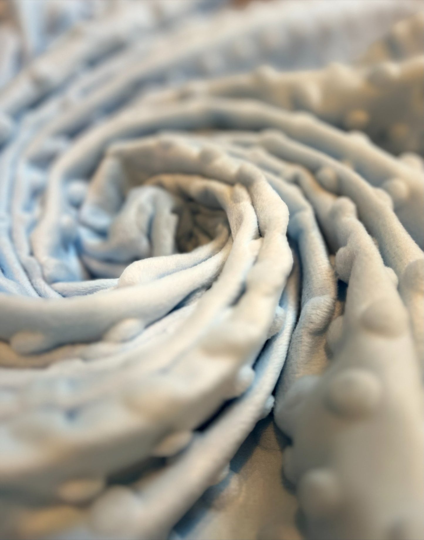 Briggham Blanket: Blue Zoo Mink Blanket